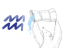 ราศีกุมภ์ (13 ก.พ.-13 มี.ค.)