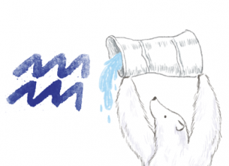 ราศีกุมภ์ (13 ก.พ.-13 มี.ค.)