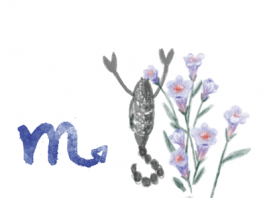 ราศีพิจิก (17 พ.ย.-15 ธ.ค.)