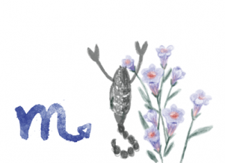 ราศีพิจิก (17 พ.ย.-15 ธ.ค.)