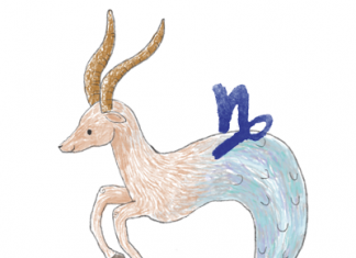 ราศีมังกร (16 ม.ค.-12 ก.พ.)