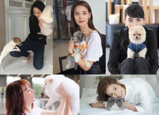 มาดู!! เหล่าดาราซุปตารักสัตว์