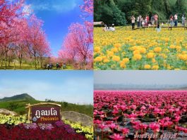 แนะนำ 4 ที่เที่ยวสุดคูลหลังปีใหม่