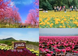 แนะนำ 4 ที่เที่ยวสุดคูลหลังปีใหม่