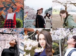 ช่วงฮิตฮอต ดอกไม้ซากุระ ใครๆก็ต้องไปสัมผัสถ่ายรูป