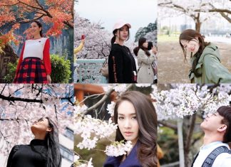 ช่วงฮิตฮอต ดอกไม้ซากุระ ใครๆก็ต้องไปสัมผัสถ่ายรูป