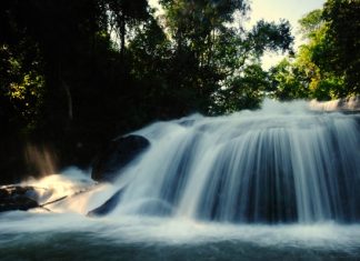 ฝ่าฝนไปเดินป่าที่ “น้ำตกผาดอกเสี้ยว”