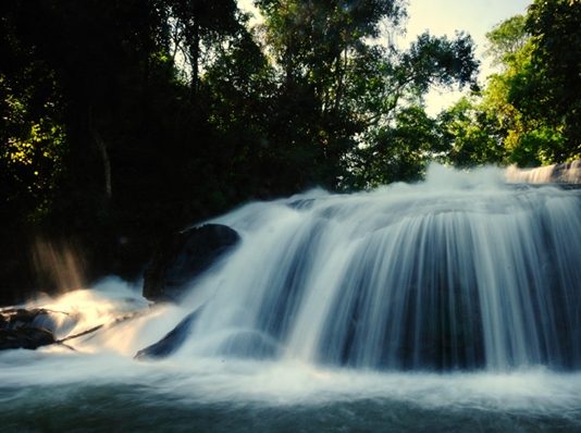 ฝ่าฝนไปเดินป่าที่ “น้ำตกผาดอกเสี้ยว”