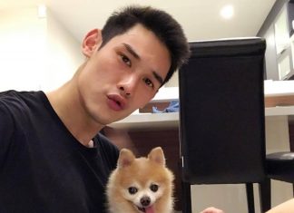 กันต์ กันตถาวร หนุ่มหน้าตี๋กับแก๊งน้องหมาที่น่ารักของเขา