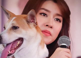 เชียร์ แจงเงินชดเชยค่าเสียหาย “ไม้หมอน” จะนำไปทำบุญหมาจรจัด