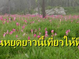 แวะเที่ยวสูดอากาศบริสุทธิ์แบบฟินๆ ที่ 5 อุทยานแห่งชาติใกล้กรุงเทพ