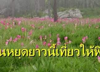 แวะเที่ยวสูดอากาศบริสุทธิ์แบบฟินๆ ที่ 5 อุทยานแห่งชาติใกล้กรุงเทพ
