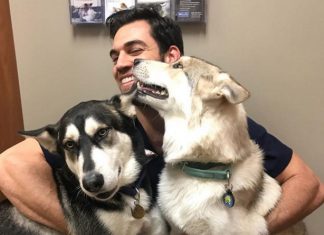 น่ารักอ่ะ! รวมภาพคุณหมอสุดหล่อ Evan Antin สัตวแพทย์ผู้มีใจรักสัตว์