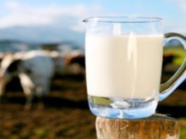 เคล็ดลับดื่มนมให้ถูกเวลา