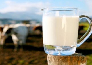 เคล็ดลับดื่มนมให้ถูกเวลา