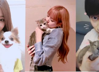 น่ารักอ่ะ! รวมสัตว์เลี้ยงสุดคิวท์ของคนดังที่เห็นแล้วน่าอิจฉาสุดๆ
