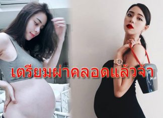 รอไม่ไหว “นิวเคลียร์” เตรียมผ่าคลอด “น้องไทก้า” พรุ่งนี้