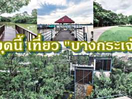 บางกระเจ้า ป่าใกล้กรุง