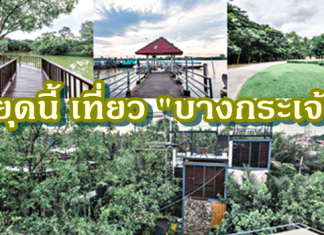 บางกระเจ้า ป่าใกล้กรุง