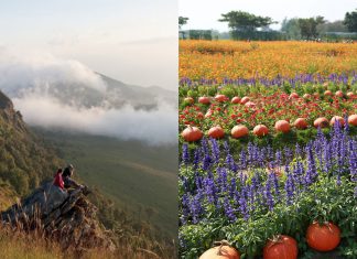 แบกเป้ไปเที่ยวกัน! 8 สถานที่ท่องเที่ยวในไทยที่น่าปักหมุดแวะชิลล์ในช่วงปีใหม่นี้