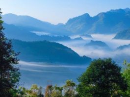 หนาวแล้ว! ไปแอ่วเหนือเที่ยวยอดดอยฟินกับทะเลหมอกกันเถอะ!