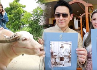 “หนีเที่ยวกัน” รวมฟินปี 61 “ฟลุค, นาตาลี ,บอล ,เชียร์” ความลับหลุด!