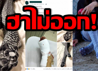 เลกกิ้งสุดชิค ที่ชีวิตจริงฮาไม่ออก