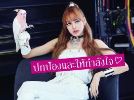 ‘BLINKs’ ทั่วโลกพร้อมใจปกป้อง ‘LISA BLACKPINK’ หลังโดนเหยียดแรงในโซเชียล!