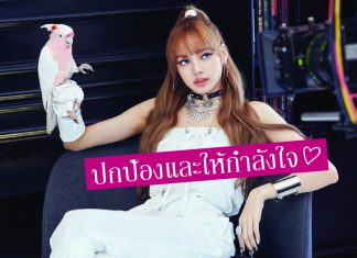 ‘BLINKs’ ทั่วโลกพร้อมใจปกป้อง ‘LISA BLACKPINK’ หลังโดนเหยียดแรงในโซเชียล!