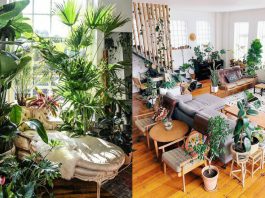 ว้าวเลย! 15 ไอเดียแต่งห้องนั่งเล่นด้วยต้นไม้ให้ดูมีชีวิตชีวาราวกับนั่งชิลล์อยู่ในคาเฟ่เก๋ๆ