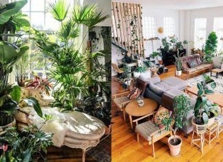 ว้าวเลย! 15 ไอเดียแต่งห้องนั่งเล่นด้วยต้นไม้ให้ดูมีชีวิตชีวาราวกับนั่งชิลล์อยู่ในคาเฟ่เก๋ๆ