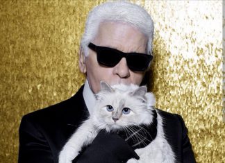 ‘Karl Lagerfeld’ ดีไซเนอร์ชื่อดังระดับโลกเสียชีวิตอย่างสงบในวัย 85 ปี