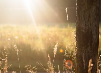 อาจเป็นอันตรายถึงชีวิต! มาเรียนรู้วิธีปกป้องตัวเองให้ห่างไกลจากอาการเจ็บป่วยในช่วงที่อากาศร้อนจัด