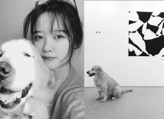 ‘Ku Hye Sun’ บริจาคเงิน 20 ล้านวอนให้องค์กรการกุศลเกี่ยวกับสัตว์เลี้ยง