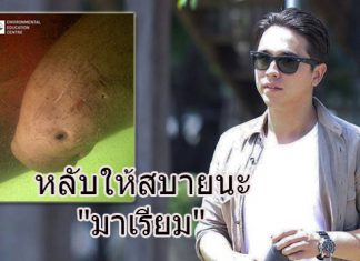 น้ำตาซึม “อเล็กซ์” โพสต์ถึง “มาเรียม” เจ้าหญิงน้อยแห่งอันดามัน