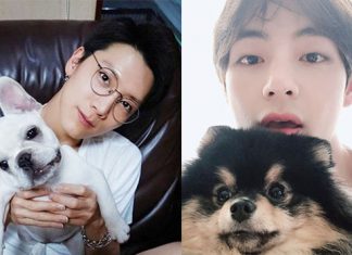 มาดูโมเมนต์สุดคิ้วท์ของไอดอล K-POP กับสัตว์เลี้ยงแสนรัก