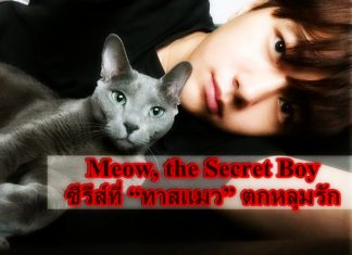 Meow, the Secret Boy ซีรีส์ที่ “ทาสแมว” ตกหลุมรัก