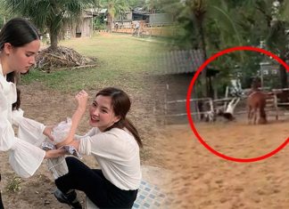 “ใบเฟิร์น-พิมพ์ชนก” ตกจากหลังม้า ฟาดเคราะห์รับปีใหม่