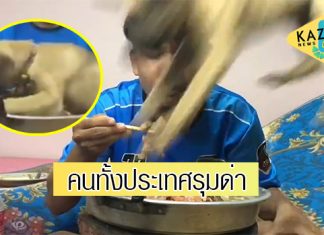 เผยสภาพ “น้องสุนัข” ถูกจับโยนลงเตาหมูกระทะ ปั่นยอดวิวยูทูบเบอร์