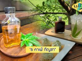 ร่าเริงดี๊ด๊ากับ “6 คาเฟ่ กัญชาฮาเฮ” ตามกระแสสายเขียวชวนอารมณ์ดี