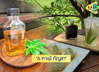 ร่าเริงดี๊ด๊ากับ “6 คาเฟ่ กัญชาฮาเฮ” ตามกระแสสายเขียวชวนอารมณ์ดี