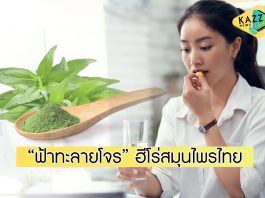 โควิดนี้เราต้องรอด! “ฟ้าทะลายโจร” ฮีโร่สมุนไพรไทย