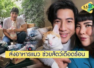 “โย่ง อาร์มแชร์” ส่งอาหารแมว ช่วยเหลือเพื่อนๆ “น้องส้มหยุด” สู้พิษโควิด-19