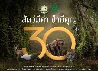 ก้าวสู่ปีที่ 30…การประกวดภาพถ่าย ‘สัตว์มีค่า ป่ามีคุณ’ ประจำปี 2567 ชวนคนไทยมองผ่านเลนส์สะท้อนคุณค่าความงดงามของธรรมชาติ รวมรางวัลมูลค่ากว่า 755,000 บาท เปิดรับผลงานตั้งแต่วันนี้ถึง 31 ส.ค. 67