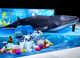 “คริสตัล” จับมือ “กลุ่มวาฬไทย” ชวนสัมผัสโลกใต้ทะเล นิทรรศการเพื่อความยั่งยืนและการอนุรักษ์วาฬ พบไฮไลท์วาฬยักษ์ ในงาน Sustainability Expo 2025