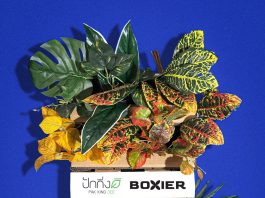 ‘HOPE BLOOMS’ นิทรรศการแสดงผลงานของนักศึกษา 5 ทีมสุดท้าย ร่วมมือกับ แบรนด์ ปักกิ่งดี