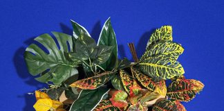 ‘HOPE BLOOMS’ นิทรรศการแสดงผลงานของนักศึกษา 5 ทีมสุดท้าย ร่วมมือกับ แบรนด์ ปักกิ่งดี