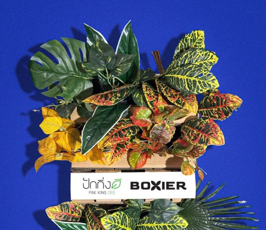 ‘HOPE BLOOMS’ นิทรรศการแสดงผลงานของนักศึกษา 5 ทีมสุดท้าย ร่วมมือกับ แบรนด์ ปักกิ่งดี