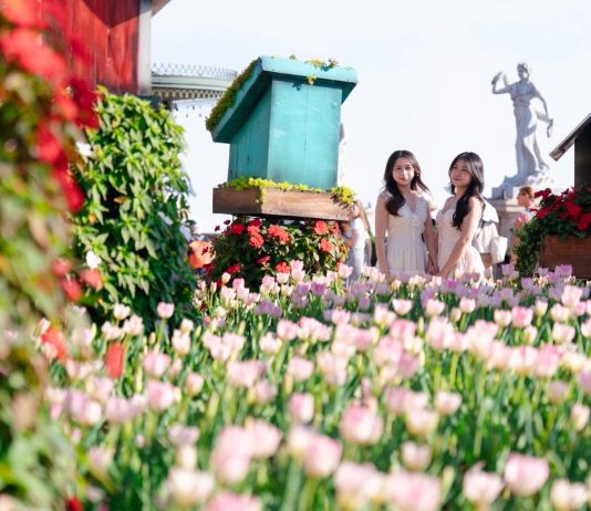 ครั้งแรกของเอเชีย! บานาฮิลล์ ทุ่มทุนสร้างมหาปรากฏการณ์ ทิวลิป 36 สายพันธุ์ 1 ล้านดอก ปกคลุมยอดเขาดานังนาน 2 เดือน